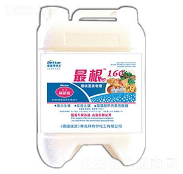 根160-拜特爾