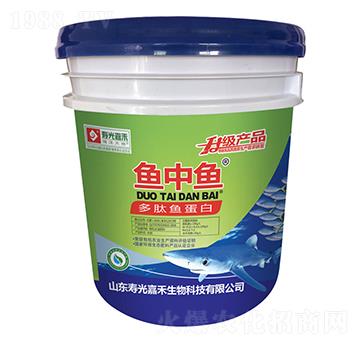 多肽魚蛋白-魚中魚-壽光嘉禾