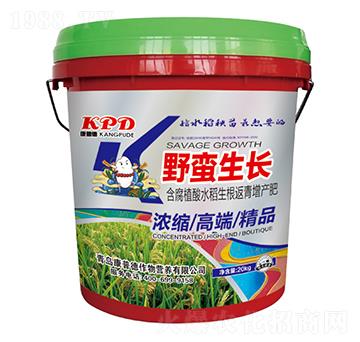 含腐植酸水稻生根返青增產(chǎn)肥-野蠻生長-康普德