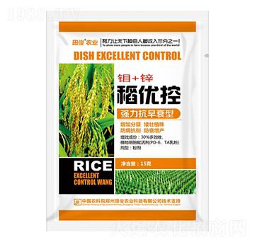 強力抗早衰型葉面肥-稻優(yōu)控-田俊肥業(yè)