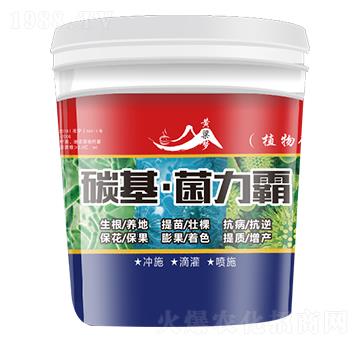 碳基·菌力霸-黃粱夢-田歸農(nóng)