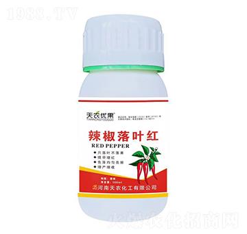 辣椒落葉紅-天農優(yōu)果-天農化工