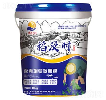 返青增蘗促根肥-稻及時-庚申農業(yè)