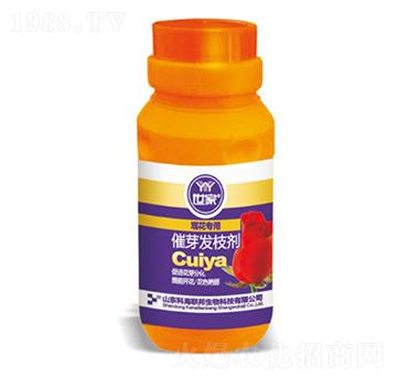 觀花專(zhuān)用催芽發(fā)枝劑-世家-科海聯(lián)邦