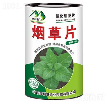 煙草片-摩利安