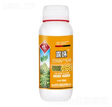 豆類高產(chǎn)專用露珠-禾豐源肥業(yè)