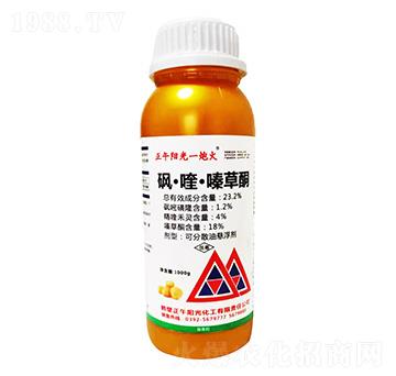 1000g砜·喹·嗪草酮-正午陽(yáng)光一炮火