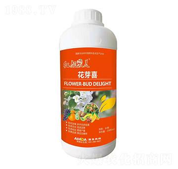 花芽喜-紅顏果美-阿姆達