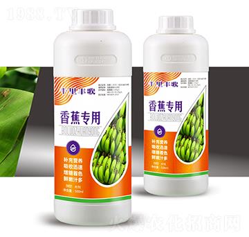 香蕉專用-千里豐歌-穗滿倉