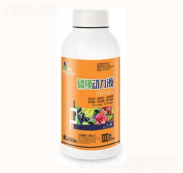 1000ml磷鉀動力液-康鑫化工