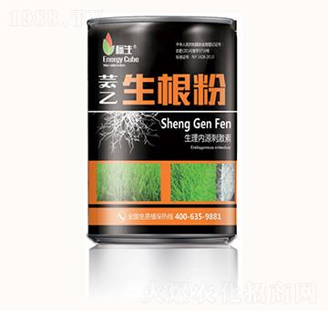 蕓乙生根粉-康鑫化工