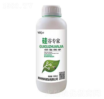 水稻專用-硅谷專家-偉科肥業(yè)