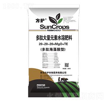 多肽大量元素水溶肥20-20-20+MgO+TE-方護