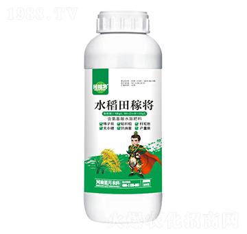 含氨基酸水溶肥料-水稻田稼將-藍月農(nóng)科