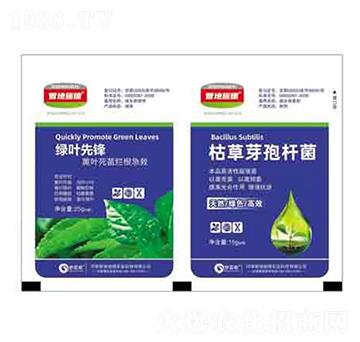 綠葉先鋒+枯草芽孢桿菌 潤澤