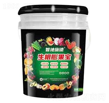 生根膨果寶 潤澤