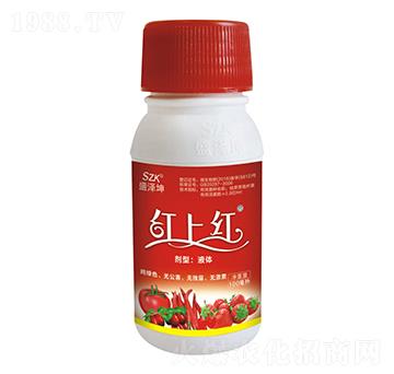 紅上紅 盛澤坤