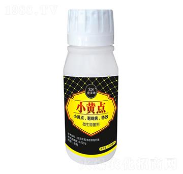 小黃點 盛澤坤