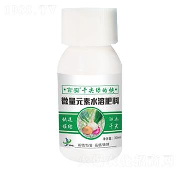 微量元素水溶肥 言實·干尖綠的快 金牌化工