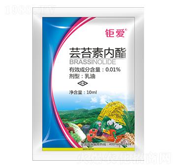 0.01%蕓苔素內(nèi)酯 鉅愛(ài) 鉅邦農(nóng)業(yè)