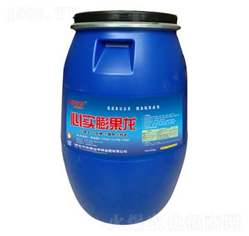 心實膨果龍 中農(nóng)施谷豐