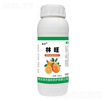 林旺 常天