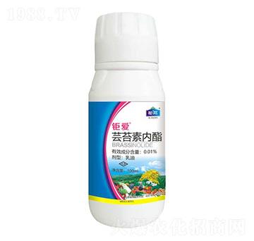 0.01%蕓苔素內酯 鉅愛 鉅邦農業(yè)