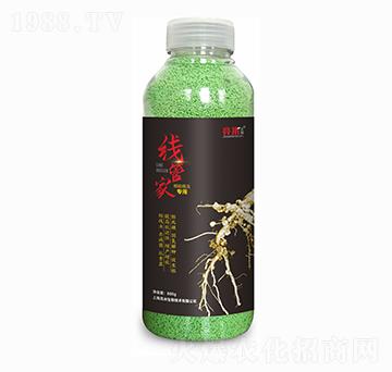 根結線蟲專用 線管家 亮米生物