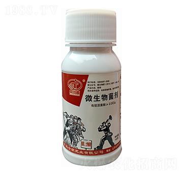 100克土傳病害克星 集團菌 今朝肥業(yè)
