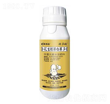 花生膨果白果多 鄭多收 鄭品