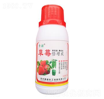 草莓倍增威-苗哥農(nóng)化