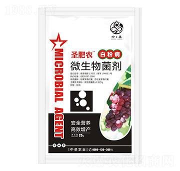 白粉病專用微生物菌劑-圣肥農-中圣農業(yè)