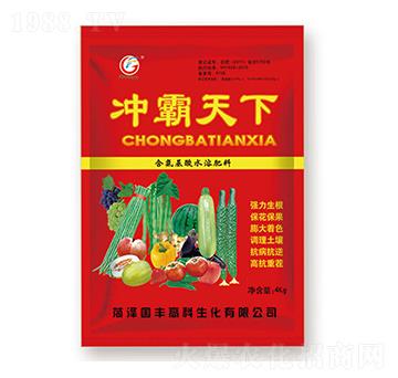 含氨基酸水溶肥料-沖霸天下-國豐高科