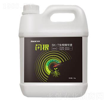 SK-TAҺ-W-r