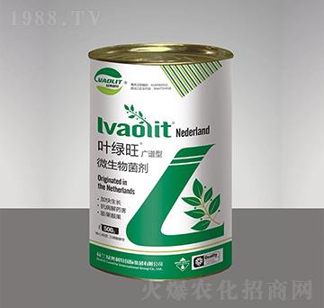 微生物菌劑-葉綠旺-綠奧農(nóng)業(yè)