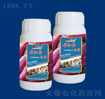 微生物菌劑塊莖系列-香紅莓-藍(lán)駝農(nóng)業(yè)