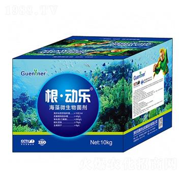 海藻微生物菌劑-根·動(dòng)樂-昆騰農(nóng)業(yè)