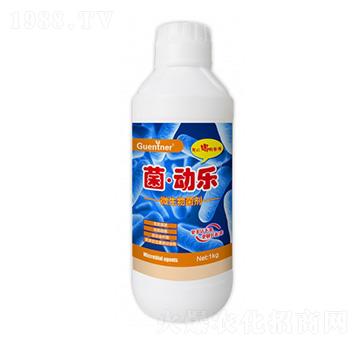 微生物菌劑-菌·動樂-昆騰農(nóng)業(yè)