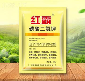 磷酸二氫鉀-紅霸-拜潤(rùn)蕓樂(lè)收