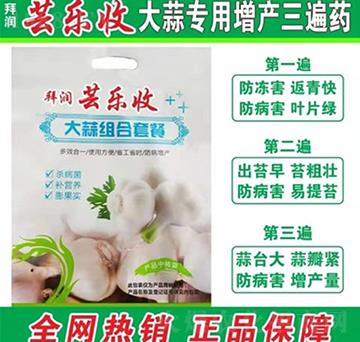大蒜組合套餐-拜潤蕓樂收