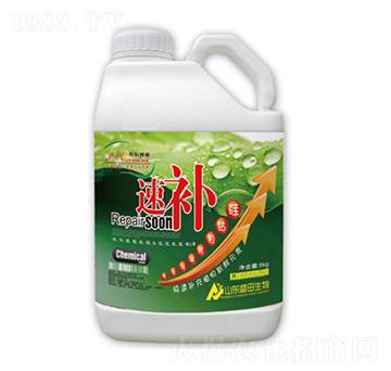速補-盛田生物