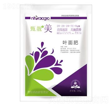 大量元素水溶肥20-20-20+TE+MgO-甄靚美-尼達羅