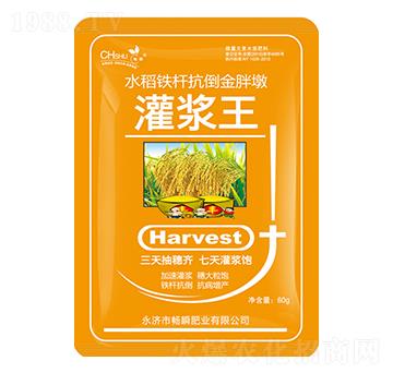 灌漿王-暢瞬
