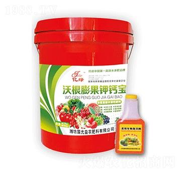 含氨基酸水溶肥料-沃根膨果鈣鉀寶-國(guó)光益農(nóng)