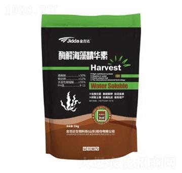 酶解海藻精華素-金吉達