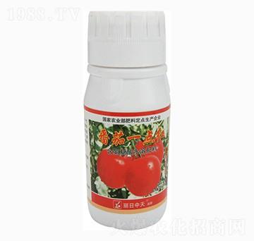 番茄專(zhuān)用含氨基酸水溶肥料-番茄一點(diǎn)紅-中天肥業(yè)