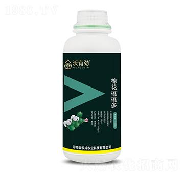 棉花桃桃多-沃有勁-金收成