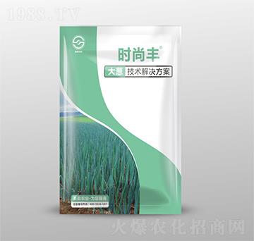 大蔥技術解決方案-時尚豐-圣勤農(nóng)業(yè)