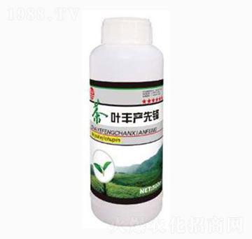 茶葉豐產(chǎn)先鋒-泰玉肥業(yè)