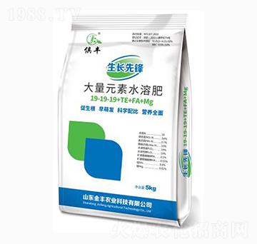 大量元素水溶肥料-19-19-19+TE+FA+Mg-生長先鋒-金豐農(nóng)業(yè)